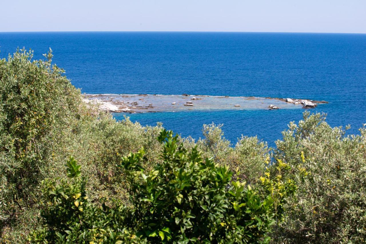 Archodissa Villa Thimonia Exteriér fotografie