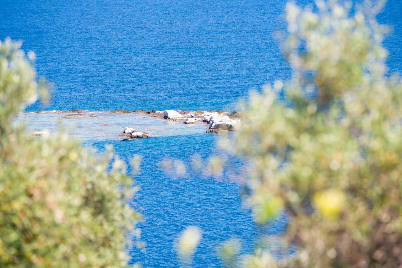 Archodissa Villa Thimonia Exteriér fotografie